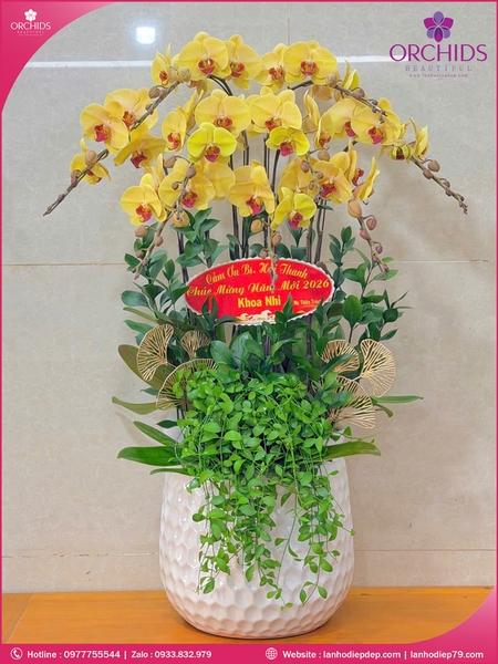 Chau-hoa-lan-ho-điep-vang-9-canh-v538