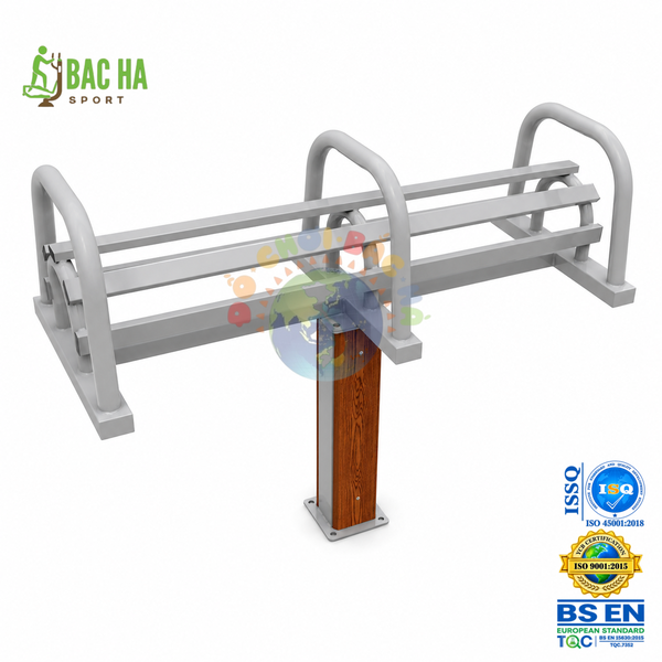 THIẾT BỊ TẬP LƯNG - BHS54
