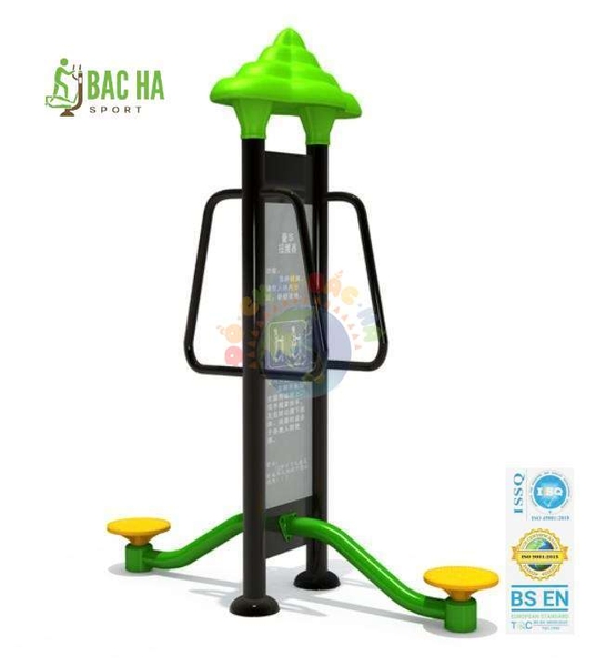 MÁY TẬP XOAY EO ĐÔI  2 TRỤ LS13