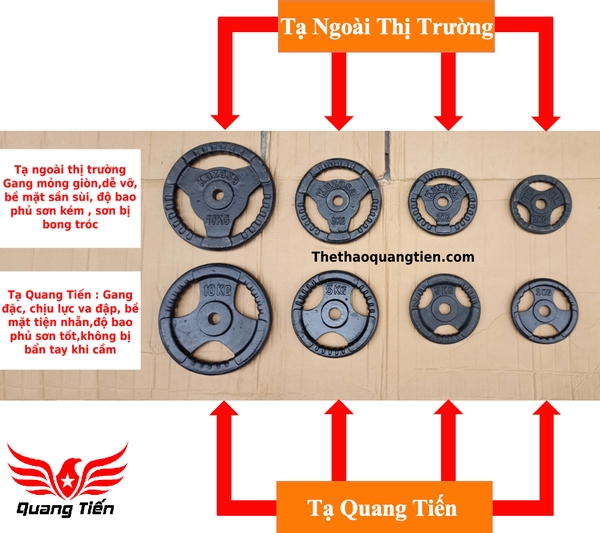 Tạ bánh gang 2 kg, miếng tạ gang 2 kg , đĩa tạ gang 2kg 3 cánh QT08
