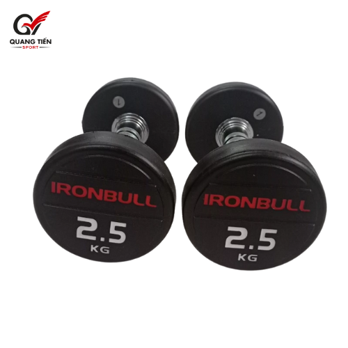 Tạ tay thép bọc cao su IronBull IR04 nhập khẩu 2,5kg ( giá 1 quả )