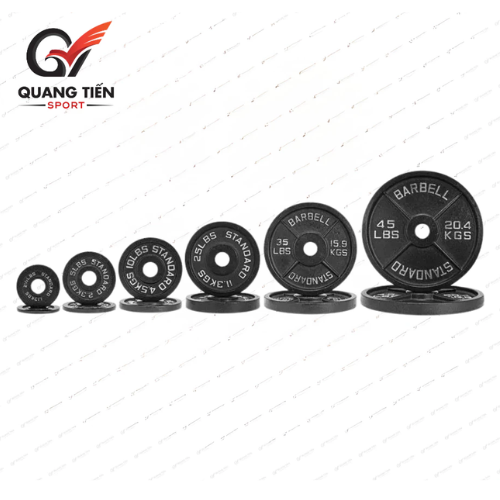 Tạ gang Standard Barbell - Giá 1 set đầy đủ từ 1,25kg đến 25kg