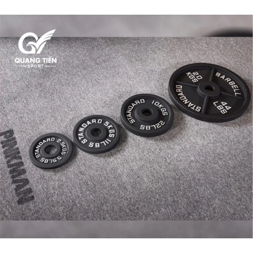 Tạ gang Standard Barbell - Giá 1 set đầy đủ từ 1,25kg đến 25kg