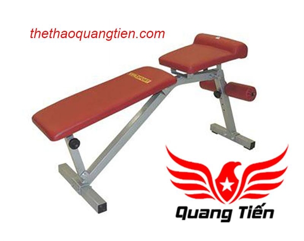 Ghế tập lưng bụng Vifa Sport 601004 QT37