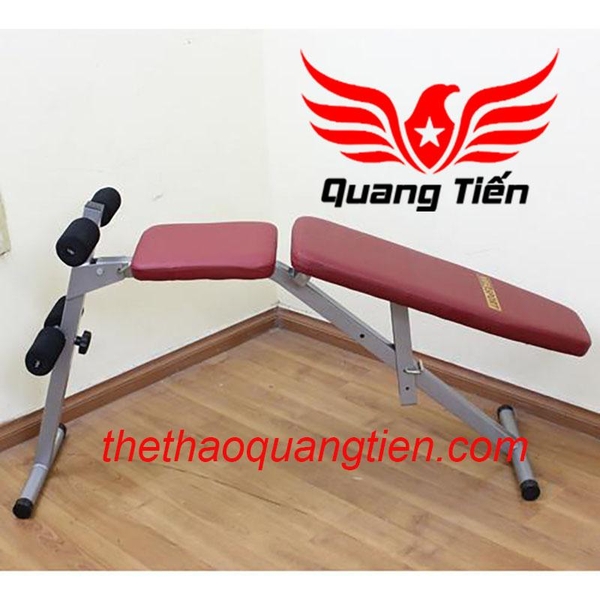 Ghế tập lưng bụng Vifa Sport 601006 QT38