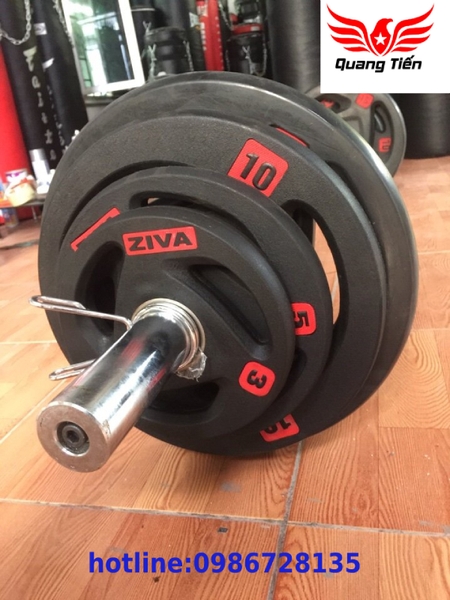 Tạ đĩa cao su Ziva 5 Kg cao cấp 2021