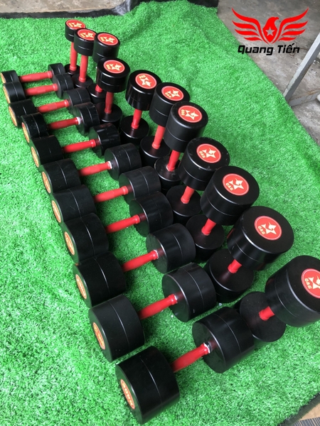 Tạ tay sắt cao cấp Quang Tiến QT808