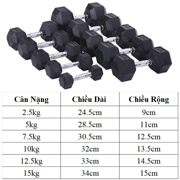 Tạ tay đơn lục giác Gang bọc cao su ( giá 1 chiếc )
