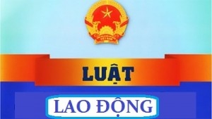 HƯỚNG DẪN THỰC HIỆN QUẢN LÝ LAO ĐỘNG, TIỀN LƯƠNG, THÙ LAO VÀ TIỀN THƯỞNG