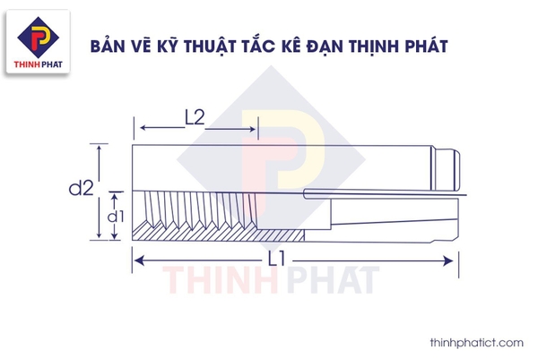 Đặc điểm cấu tạo của tắc kê nở đạn