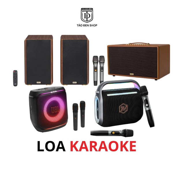Loa Karaoke