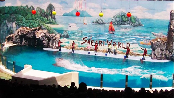 Tham quan Safari World