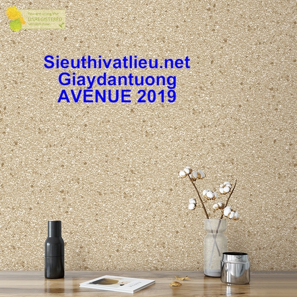 AVENUE 2019 - 77143-7