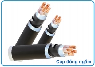 cap-dong-ngam