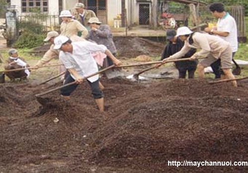 Kỹ thuật ủ phân vi sinh từ vỏ cà phê và chế phẩm EM