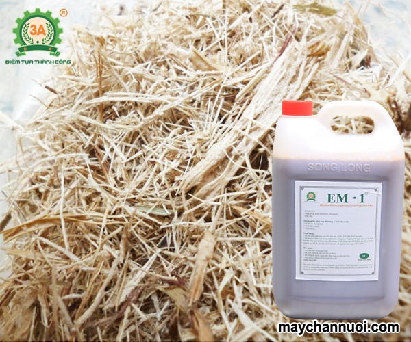 Bí quyết ủ bã mía trồng cây