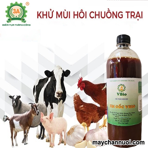 Chế phẩm vi sinh khử mùi hôi cho chuồng trại chăn nuôi