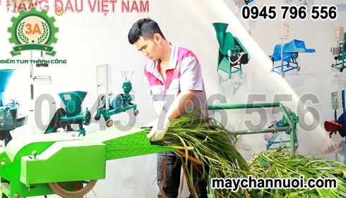 Máy băm cỏ trong sản xuất thức ăn chăn nuôi.