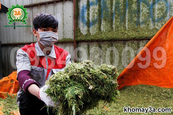 So sánh máy băm cỏ công suất lớn và máy đa năng: Đầu tư sao cho hợp lý?