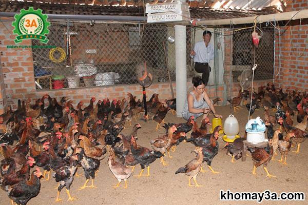 Hiệu suất vượt trội của máy băm nghiền đa năng trong chăn nuôi