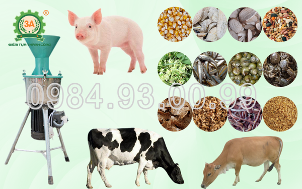 Máy băm nghiền đa năng giúp giảm công 80% mỗi ngày