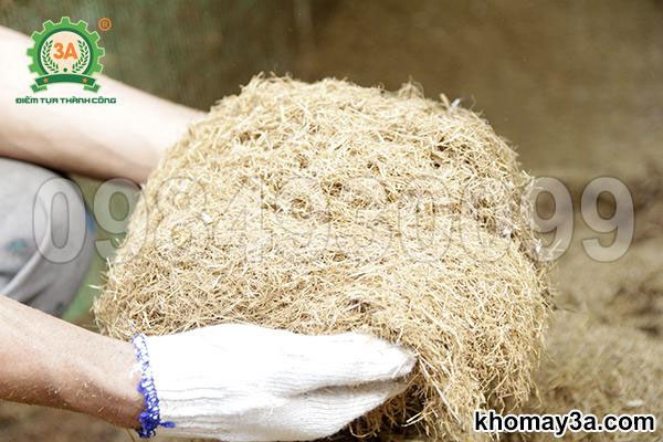 Cách làm phân hữu cơ từ xơ dừa: Giải pháp bền vững cho nông nghiệp
