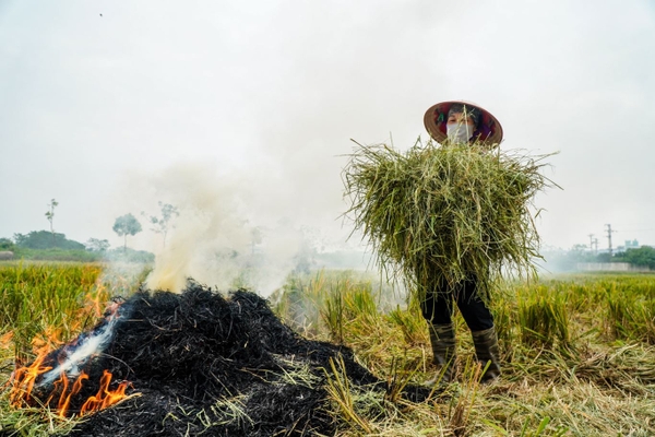 Máy băm xơ dừa giúp xử lý nhanh các phế phẩm mỗi ngày
