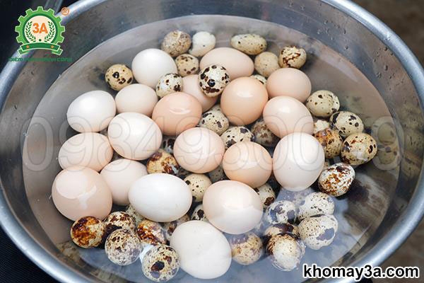 Máy bóc vỏ trứng tự động có những tính năng nổi bật nào?
