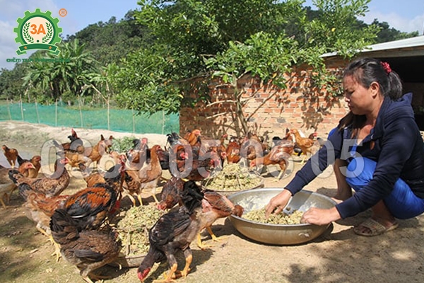 Máy băm nghiền đa năng 3A – Giảm 80 % thời gian chế biến
