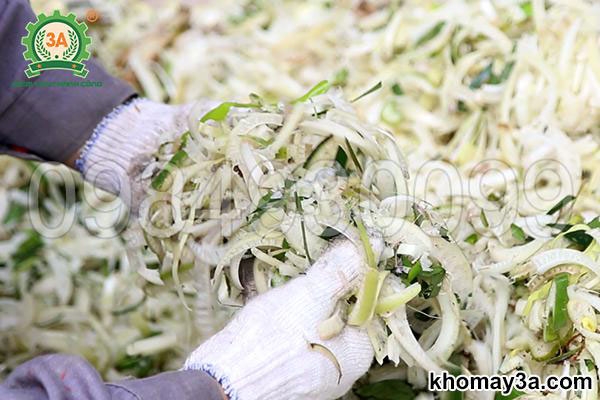 TOP Máy Thái Chuối Giúp Bà Con Chăn Nuôi Hiệu Quả