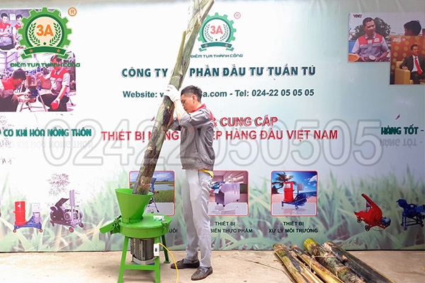 Máy thái chuối – Thiết bị tiết kiệm sức người cho hộ nuôi bò, dê