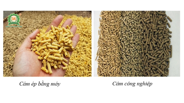 Lợi ích của cám viên sản xuất tại nhà khác với cám viên công nghiệp