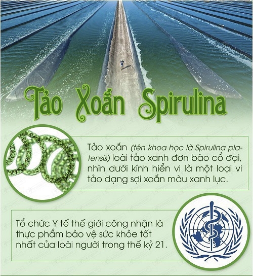 Hướng dẫn sử dụng tảo biển Spirulina Nhật Bản đúng cách và hiệu quả nhất.