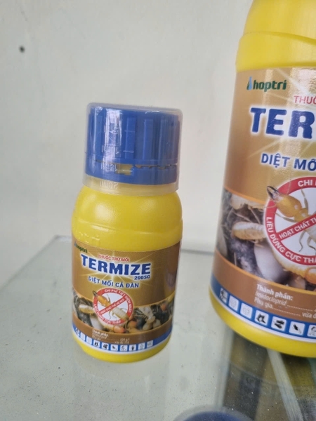 Bán Thuốc Diệt Mố Tại Quận 6 | Dịch Vụ Bán Thuốc Diệt Mối Quận 6