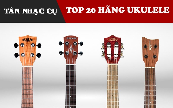 Top 20 Hãng Đàn Ukulele Tốt Nhất Thế Giới