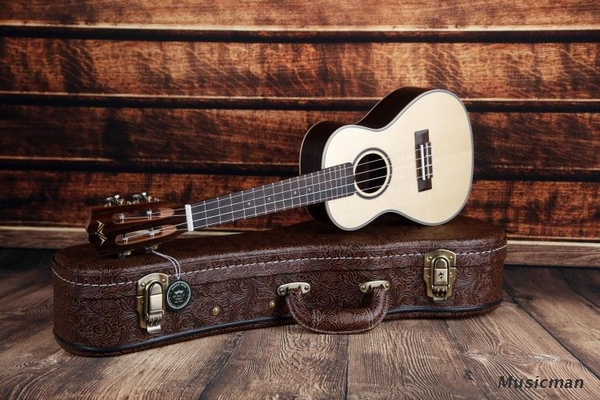 Người mới học thì mua đàn Ukulele loại nào?