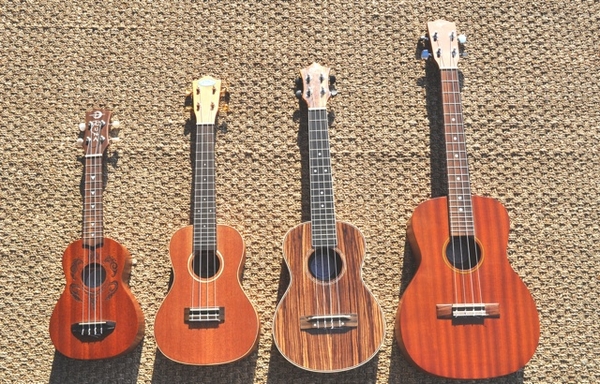 5 mẫu đàn Ukulele giá siêu rẻ, dưới 800K cho người mới học