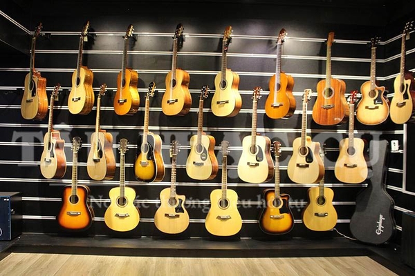 Những Bài Hát Hay Nhất Của Nhạc Sỹ Thanh Tùng Cho Đệm Hát Guitar