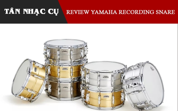 Review Đánh Giá Trống Snare Yamaha Recording Custom