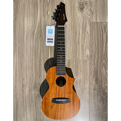 Đàn Ukulele Enya EUC X1C
