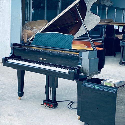 Đàn Piano Grand Yamaha G5E