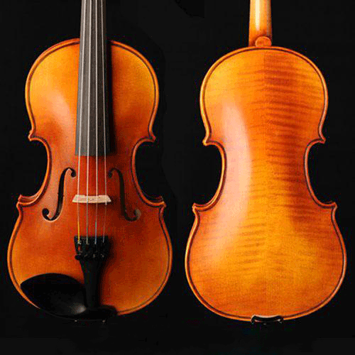 Đàn Violin Scott & Guan 017