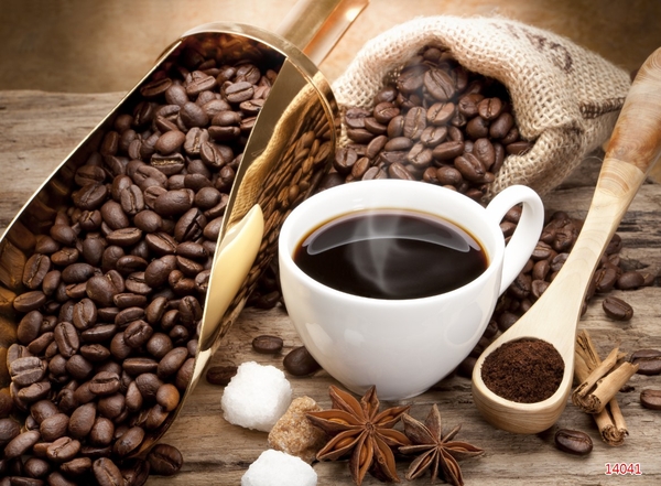 Thiết kế thi công nội thất tại An An de Cafe Lào Cai