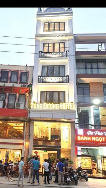 Thi công tranh dán tường 3D tại khách sạn Tùng Dương