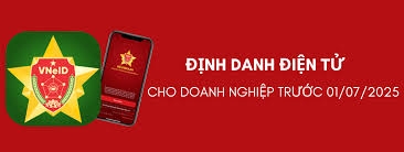 Các quy định về định danh điện tử của doanh nghiệp