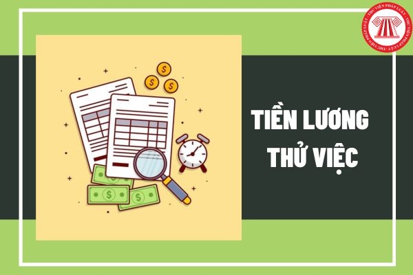 Được phép trả lương thử việc thấp hơn mức lương tối thiểu vùng cho người thử việc không?