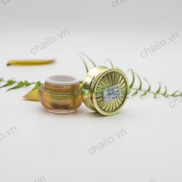 hu-my-pham-acrylic-cao-cap-10g-ac-40