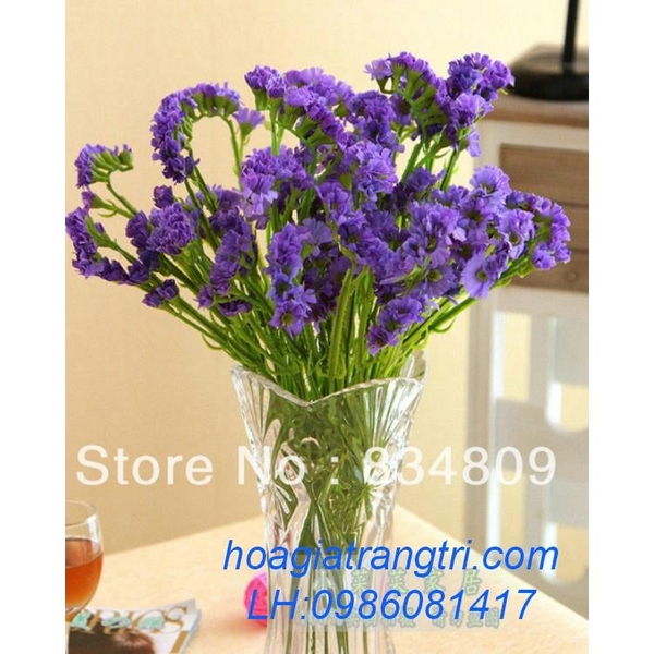 Hơn 200+ Cắm hoa salem đẹp Hóa thân thành những đóa hoa tuyệt đẹp Hơn 200+ Cắm Hoa Salem Đẹp Hóa Thân Thành Những Đóa Hoa Tuyệt Đẹp