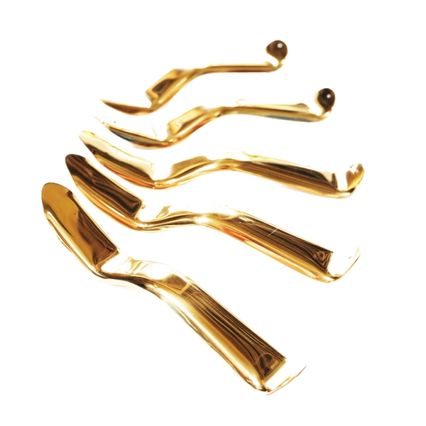 Dụng cụ vén vạt lợi-Cheek Retractor- Elite