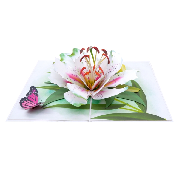 White Lily Flower Pop Up Card